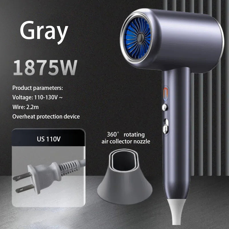 Professional Hair Dryer